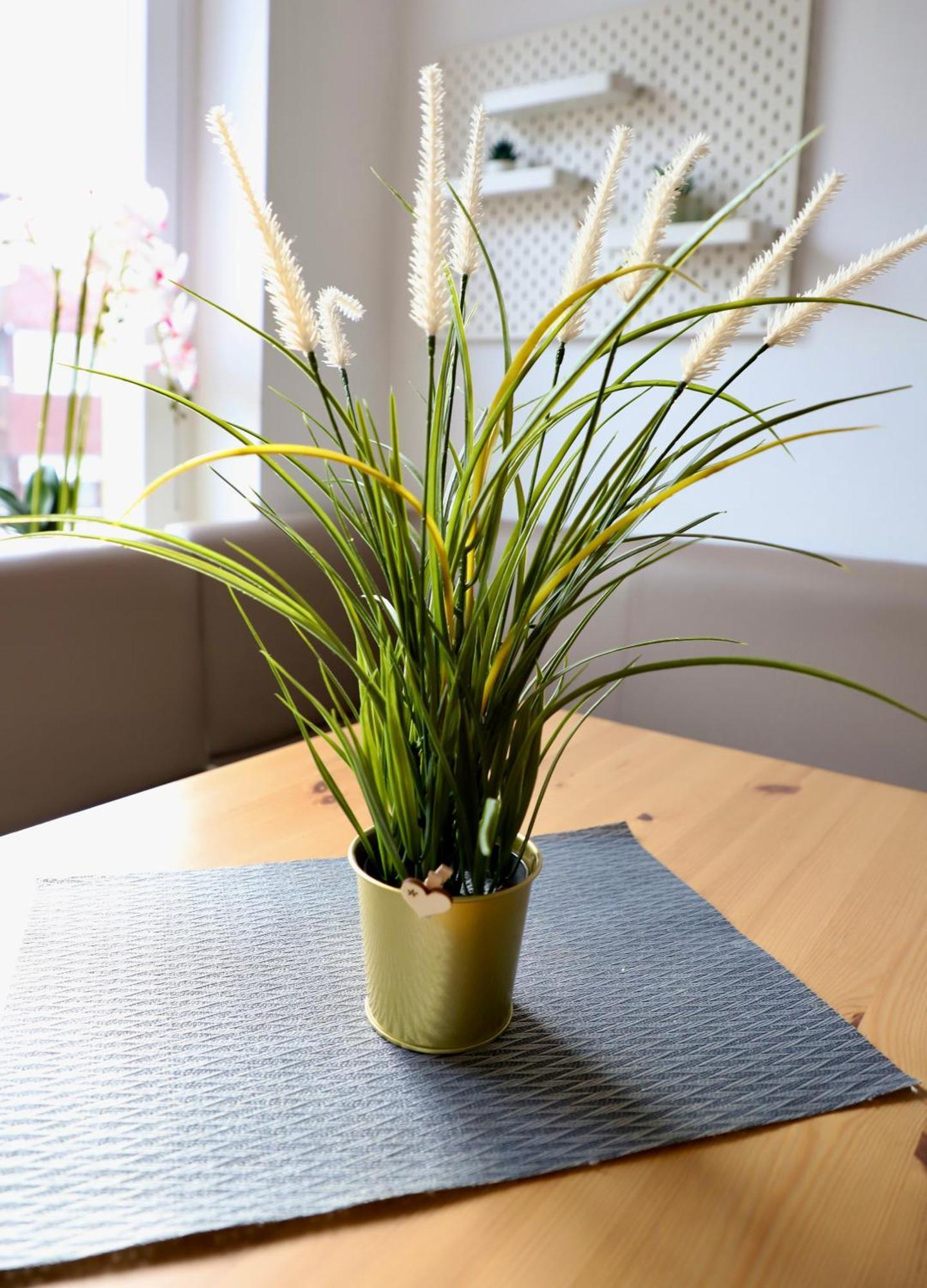 Angela Apartments 维尔茨堡 外观 照片